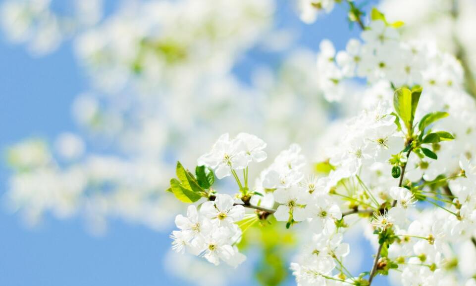 test image